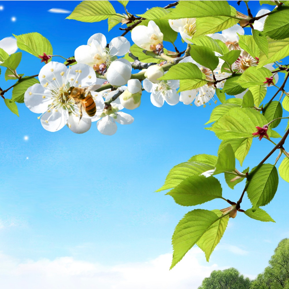 Meet your Posher, Juliette